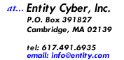 Entity Cyber Address